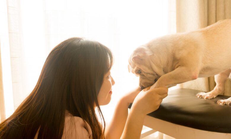 Few Things Which New Pet Parents Must Know!